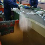 lavorazione e selezione manuale dei rifiuti